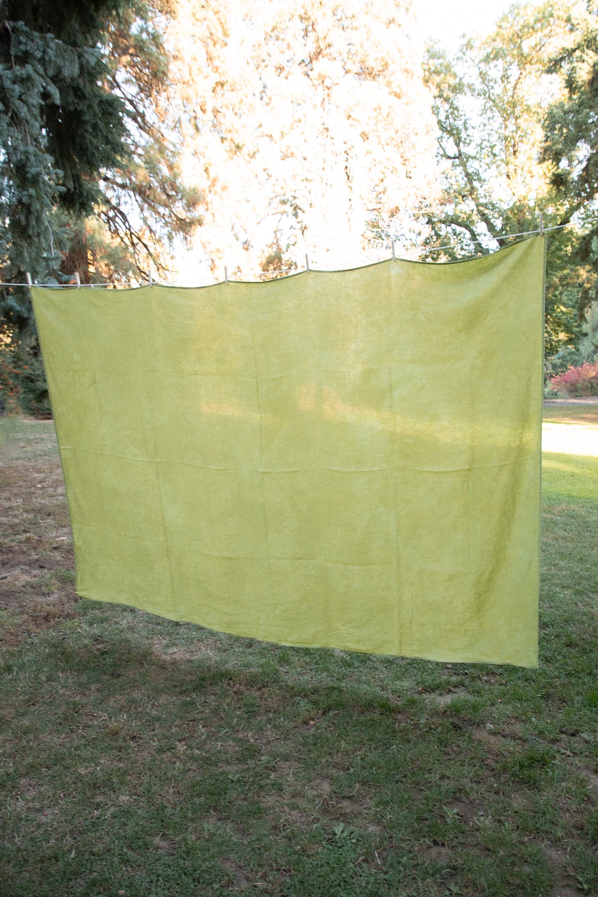 Linen Tablecloth [Olive Oil]