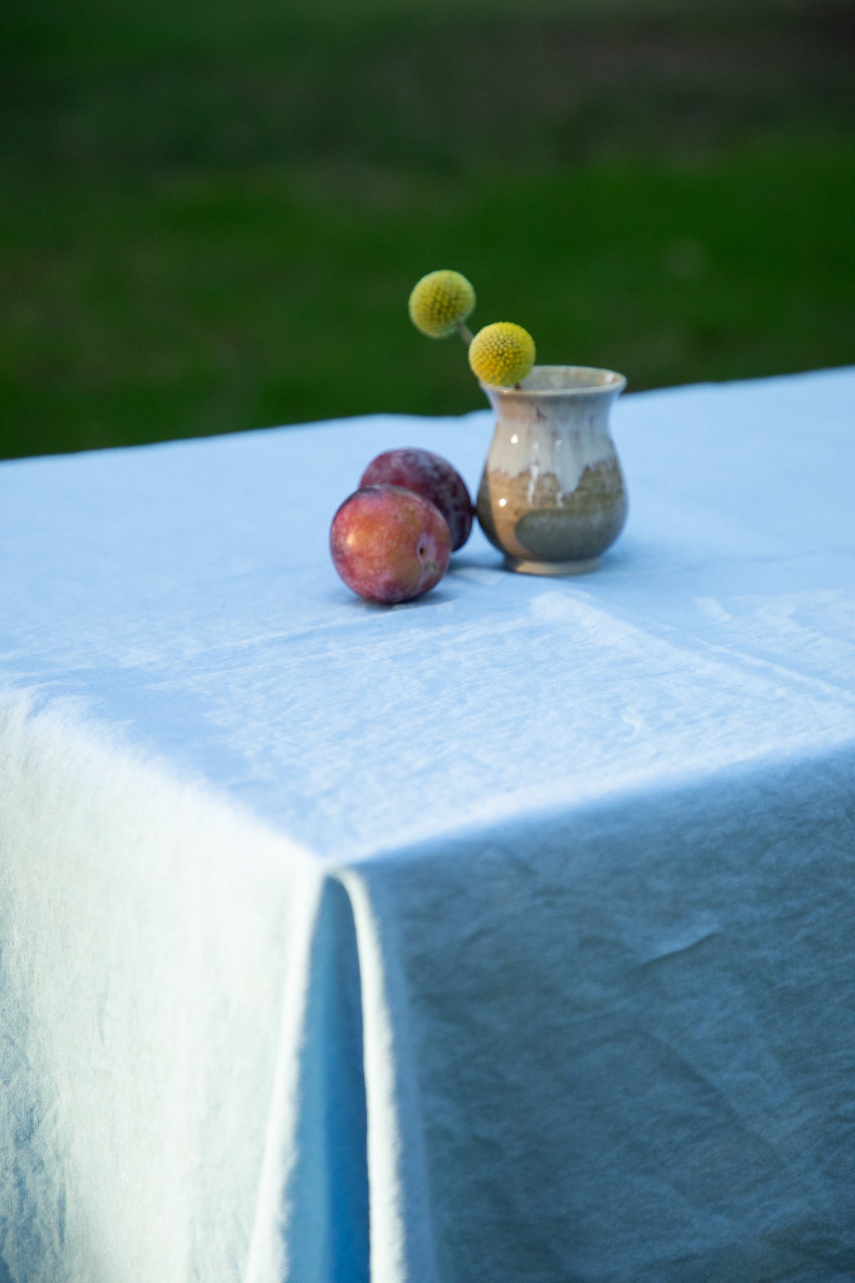 Linen Tablecloth [Robin's Egg]