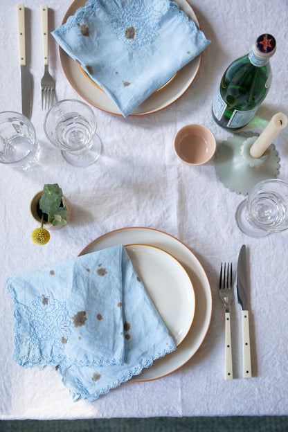 Openwork Napkins [Speckled Robin's Egg]