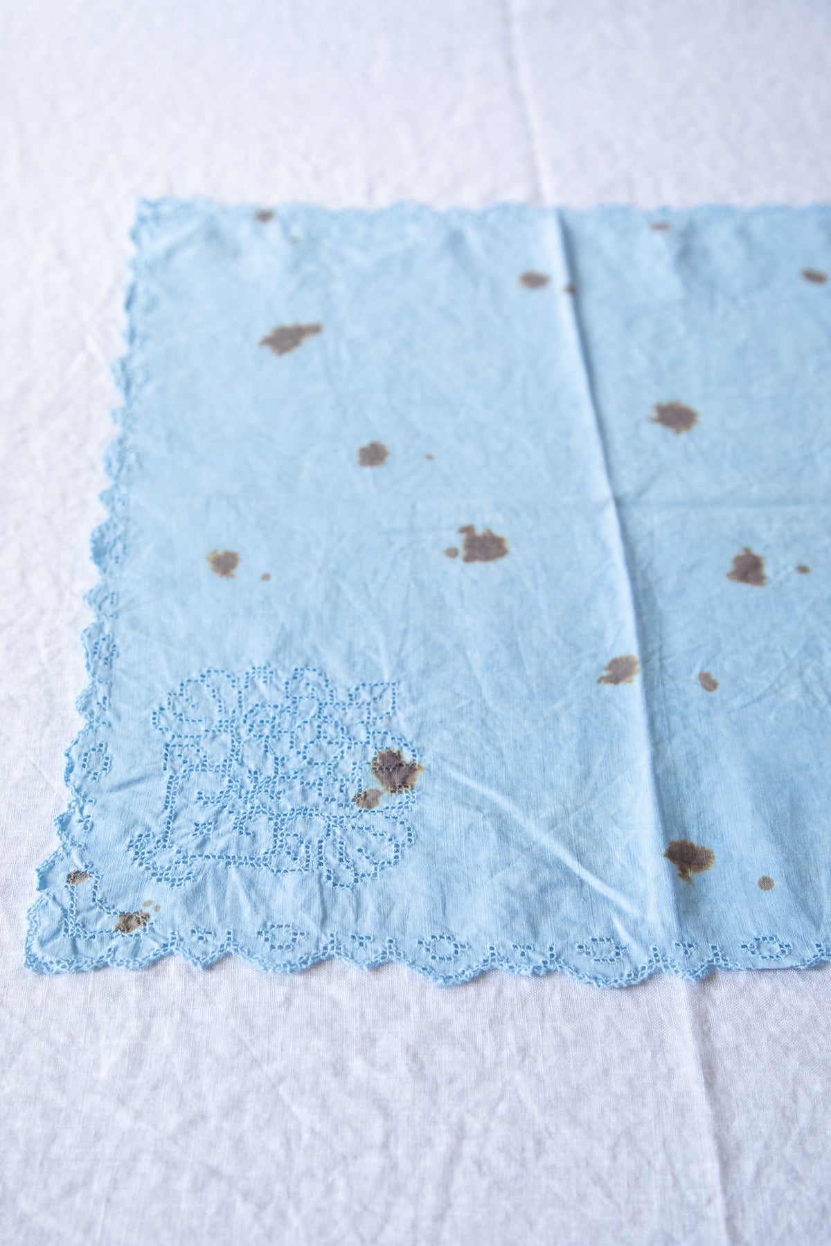Openwork Napkins [Speckled Robin's Egg]