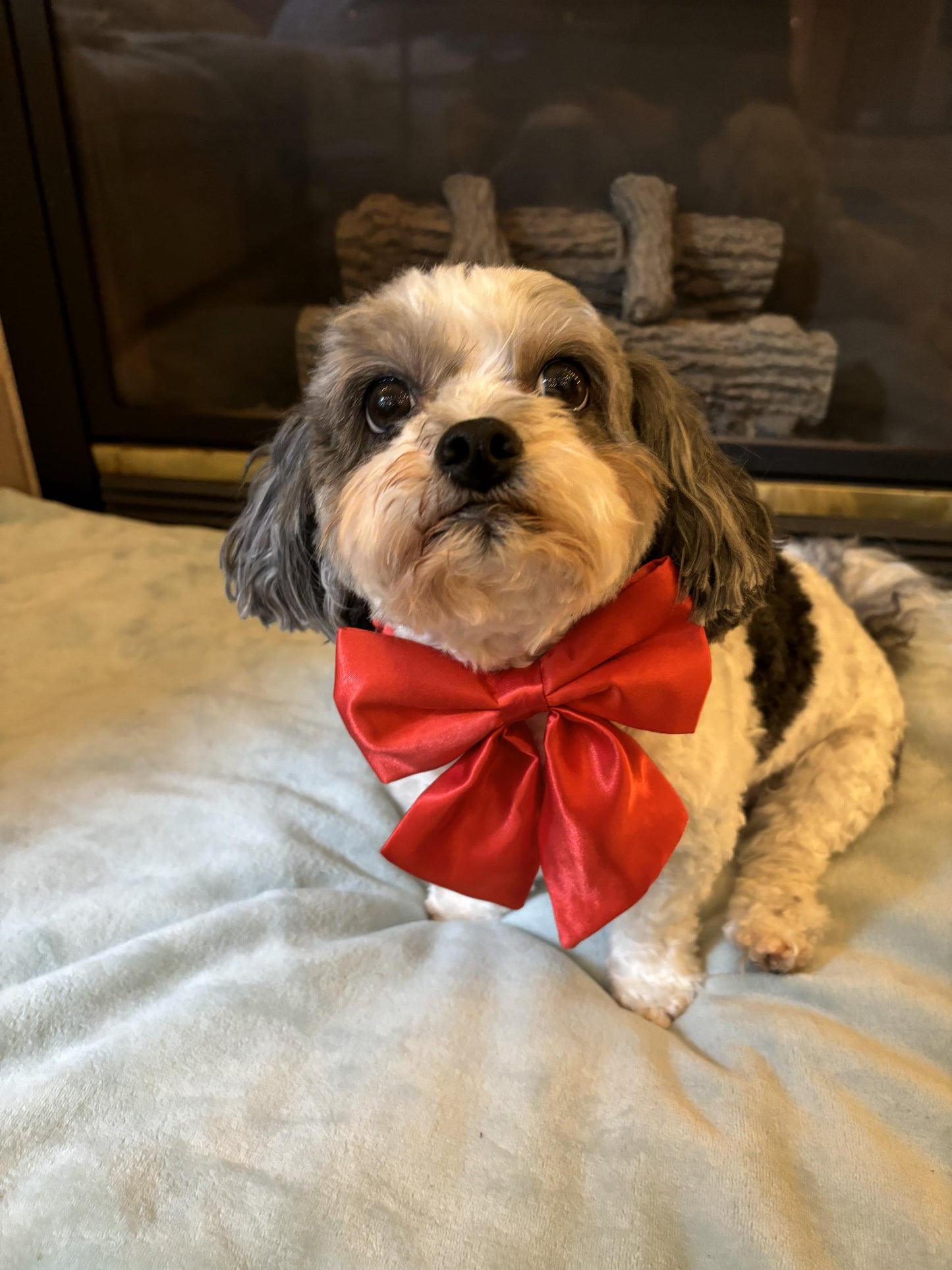 Satin Pet Bow
