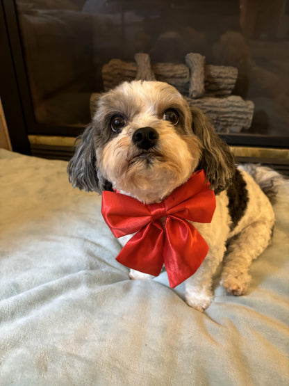 Satin Pet Bow