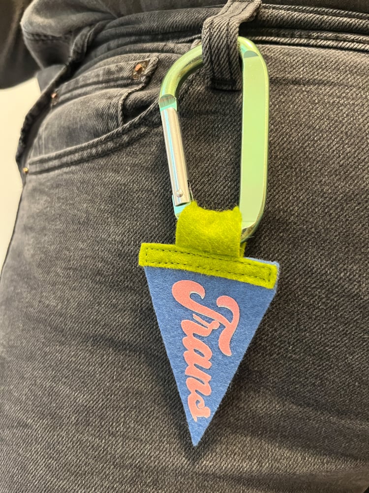 Mini Trans Pride Pennant [pink + blue]