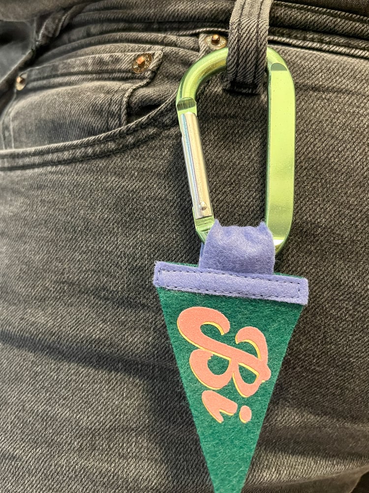 Mini Bi Pride Pennant [pink + dark green]