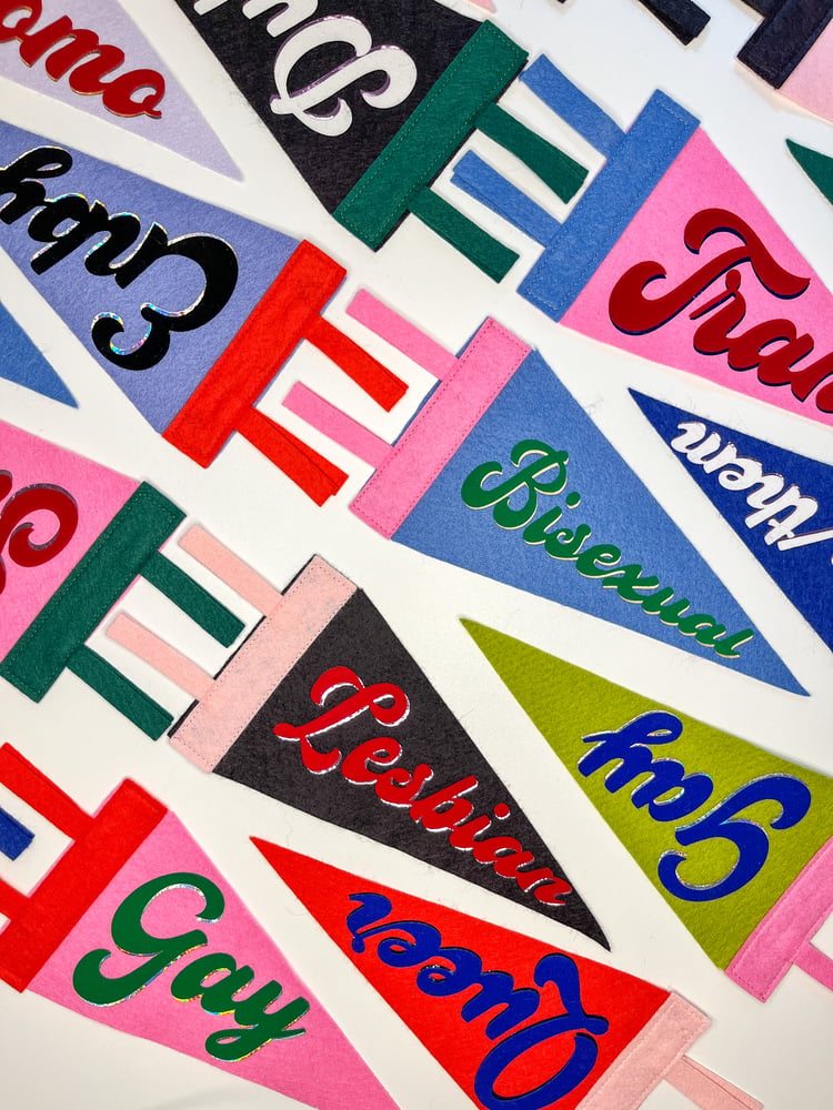 Bisexual Pride Pennant [pink + dark green]