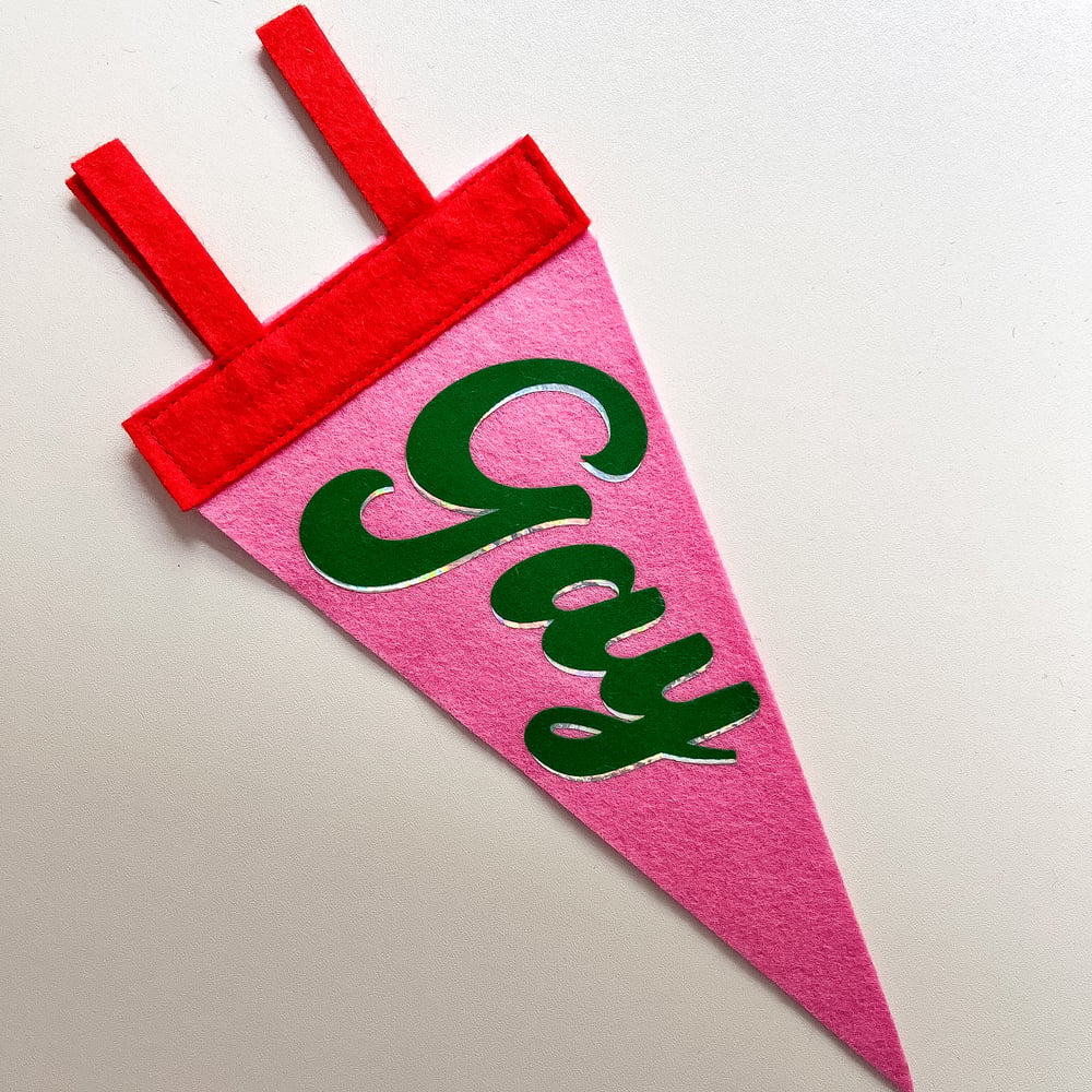 Gay Pride Pennant [green + pink]
