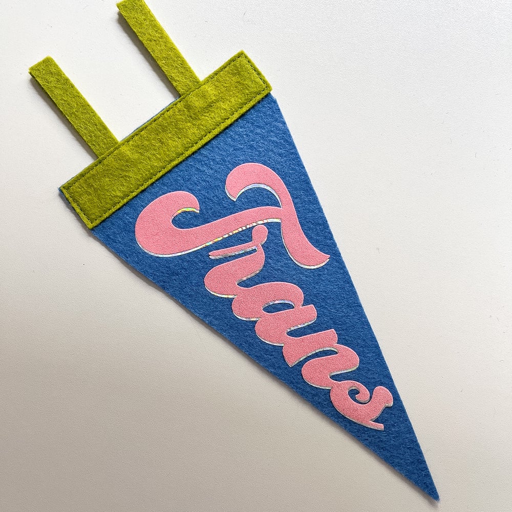 Trans Pride Pennant [pink + blue]