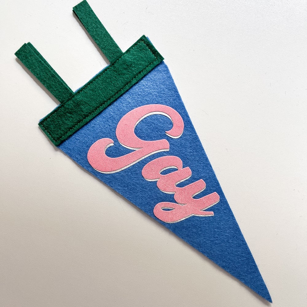 Gay Pride Pennant [pink + blue]