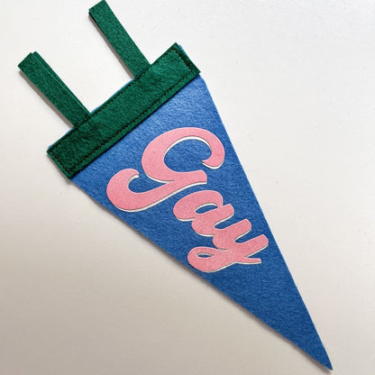 Gay Pride Pennant [pink + blue]