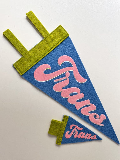 Mini Trans Pride Pennant [pink + blue]
