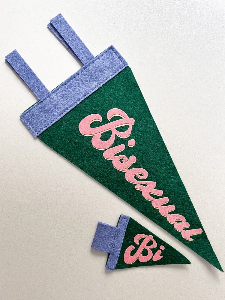 Mini Bi Pride Pennant [pink + dark green]