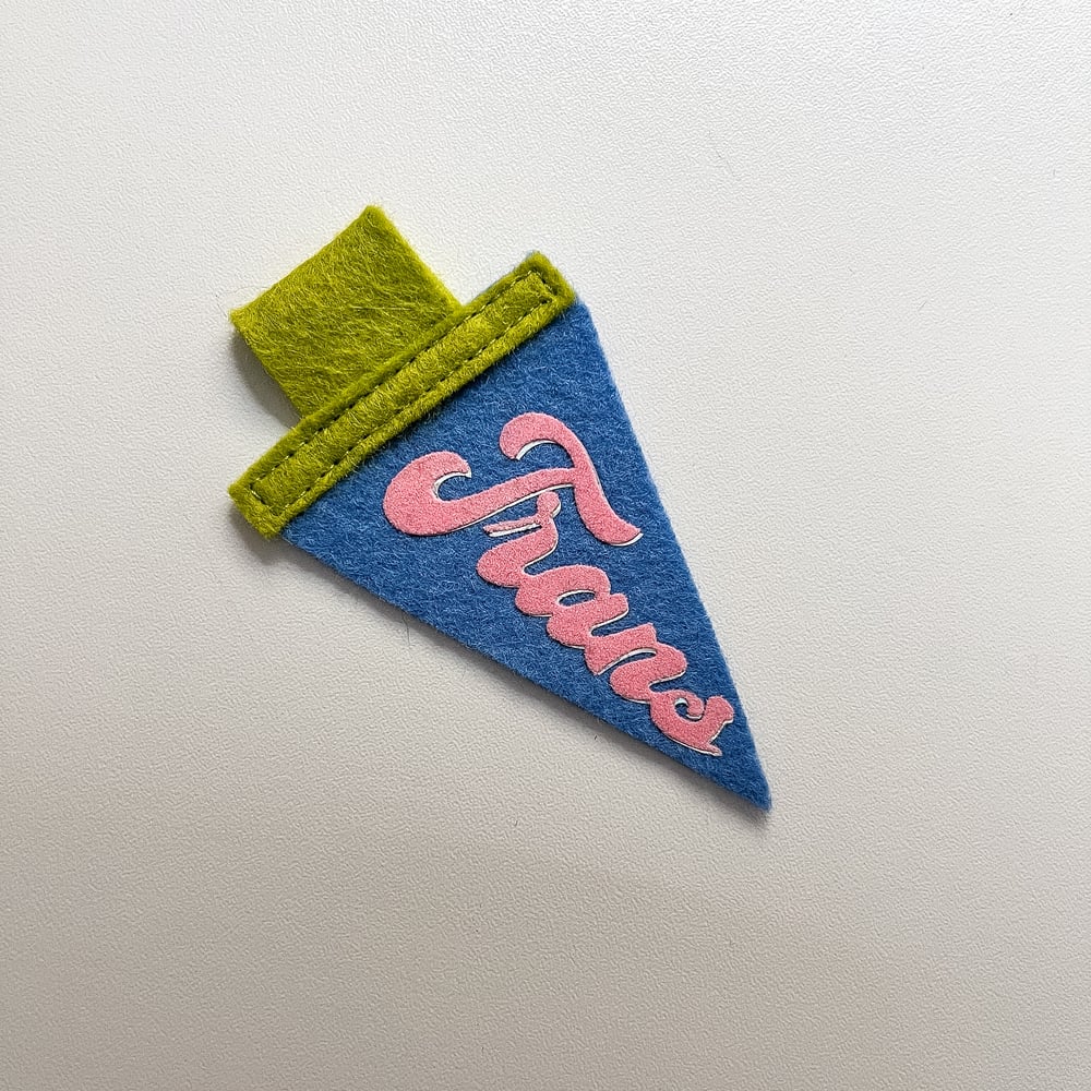 Mini Trans Pride Pennant [pink + blue]