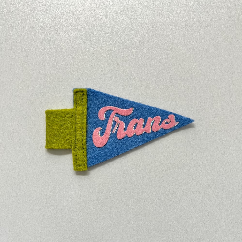 Mini Trans Pride Pennant [pink + blue]