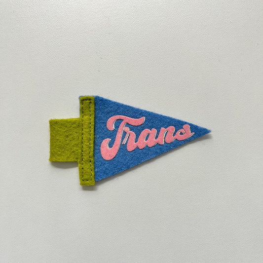 Mini Trans Pride Pennant [pink + blue]