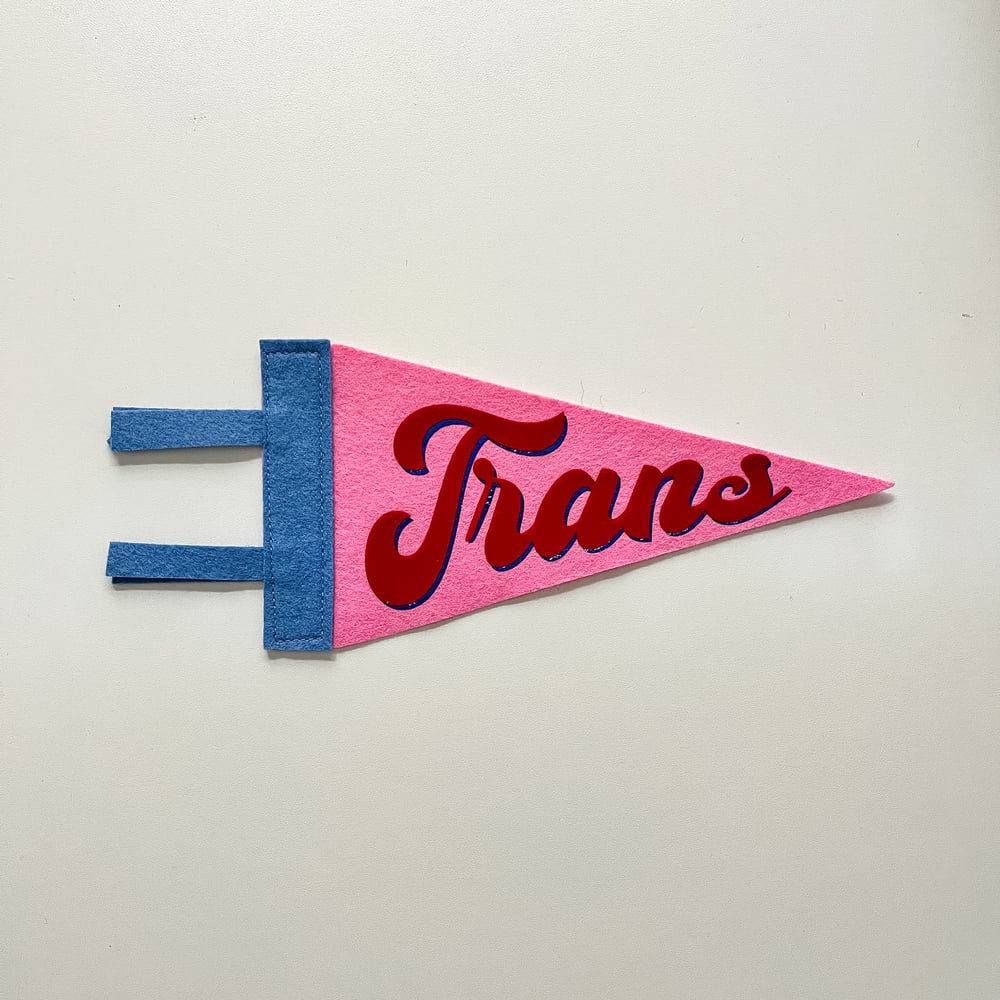 Trans Pride Pennant [red + pink]