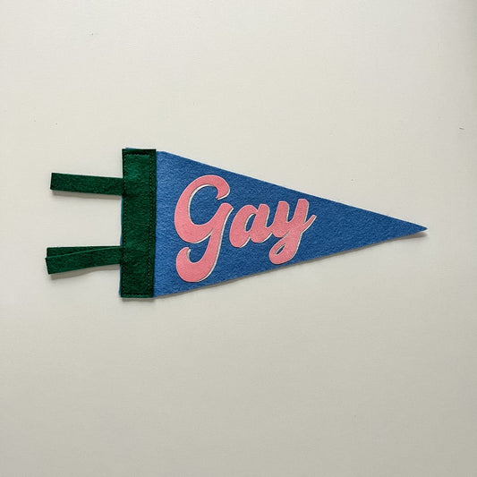 Gay Pride Pennant [pink + blue]