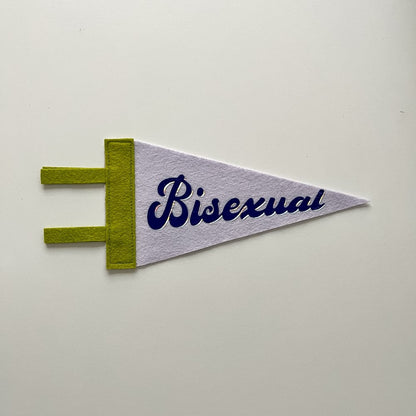 Bisexual Pride Pennant [blue + purple]