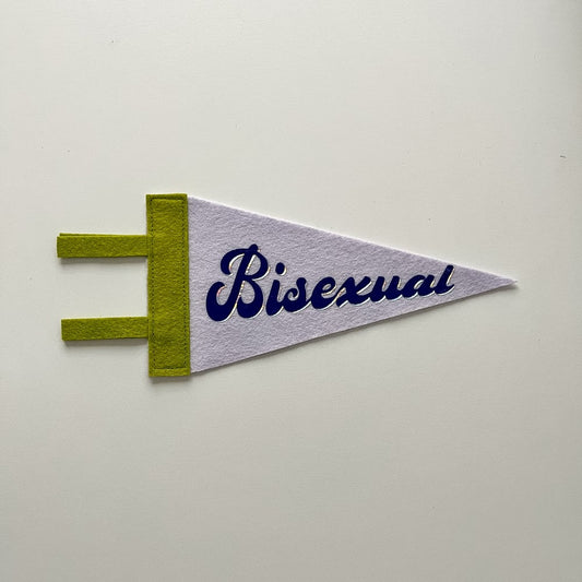 Bisexual Pride Pennant [blue + purple]