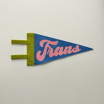 Trans Pride Pennant [pink + blue]