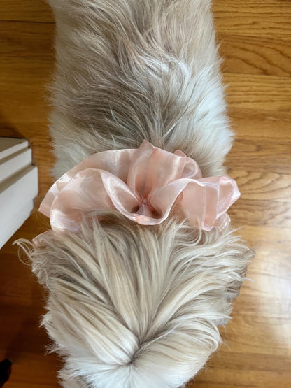 Organza Pet Ruffle